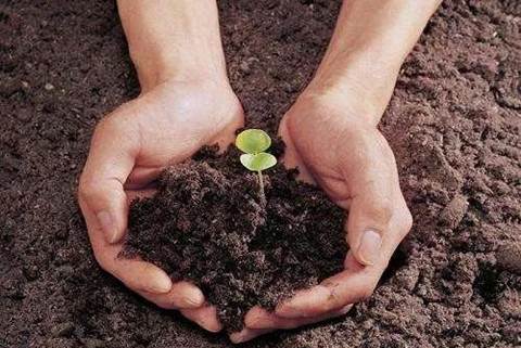 近日，天津市生態(tài)環(huán)境局印發(fā)《天津市土壤污染重點(diǎn)監(jiān)管單位周邊土壤及地下水環(huán)境監(jiān)測(cè)技術(shù)指南》（試行）